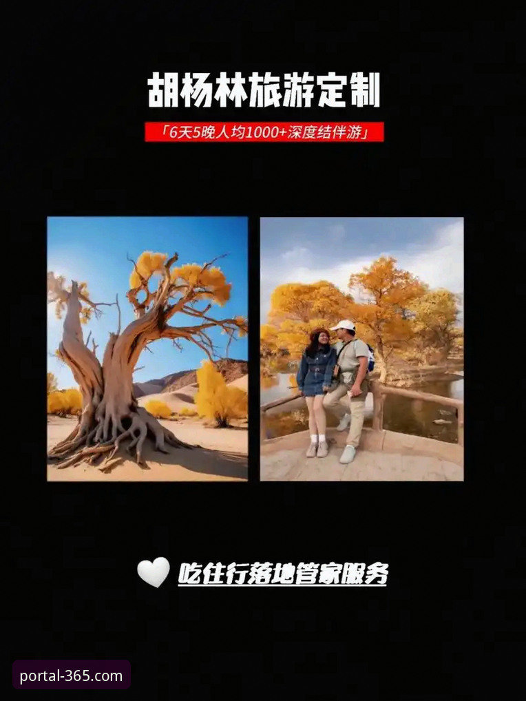官网手机登录完整评测：365体育入口移动端与PC端深度对比分析
